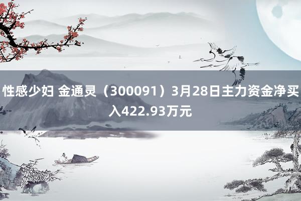 性感少妇 金通灵（300091）3月28日主力资金净买入422.93万元