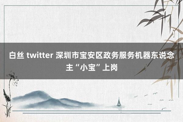白丝 twitter 深圳市宝安区政务服务机器东说念主“小宝”上岗