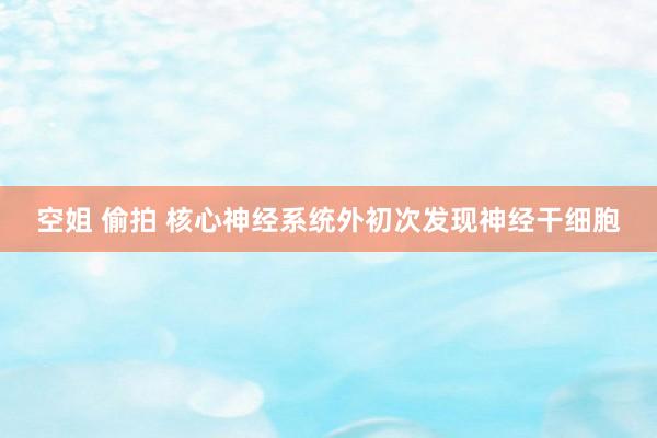 空姐 偷拍 核心神经系统外初次发现神经干细胞