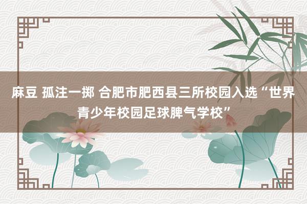 麻豆 孤注一掷 合肥市肥西县三所校园入选“世界青少年校园足球脾气学校”