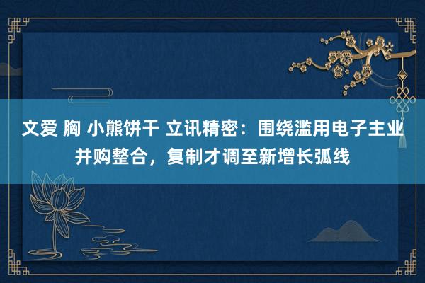 文爱 胸 小熊饼干 立讯精密：围绕滥用电子主业并购整合，复制才调至新增长弧线