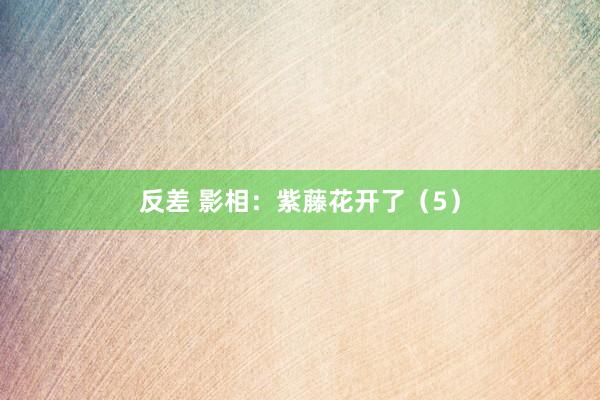 反差 影相：紫藤花开了（5）