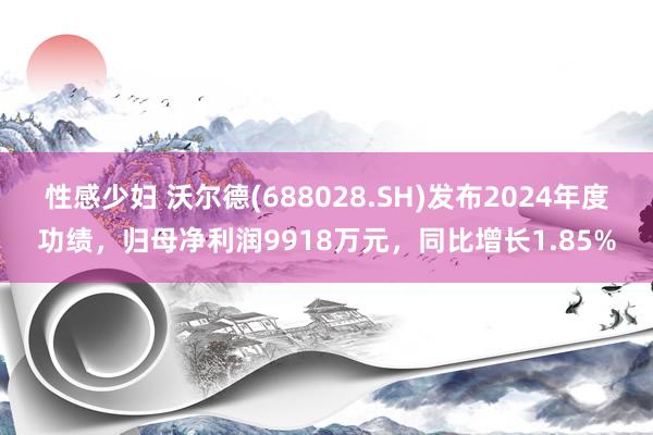 性感少妇 沃尔德(688028.SH)发布2024年度功绩，归母净利润9918万元，同比增长1.85%