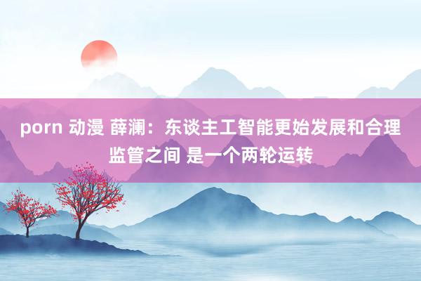 porn 动漫 薛澜：东谈主工智能更始发展和合理监管之间 是一个两轮运转