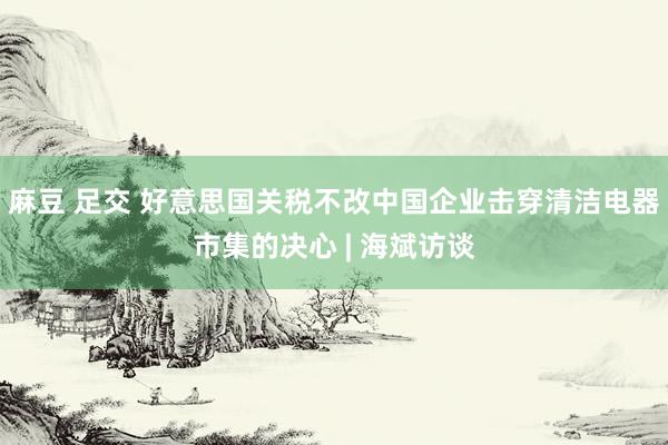 麻豆 足交 好意思国关税不改中国企业击穿清洁电器市集的决心 | 海斌访谈