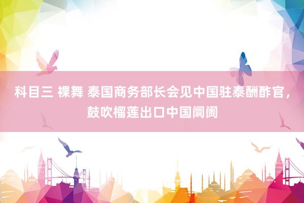 科目三 裸舞 泰国商务部长会见中国驻泰酬酢官，鼓吹榴莲出口中国阛阓