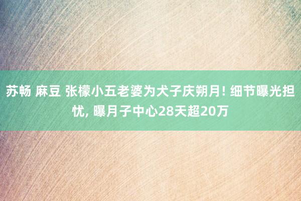 苏畅 麻豆 张檬小五老婆为犬子庆朔月! 细节曝光担忧， 曝月子中心28天超20万